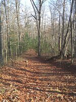 Beginning of Rock Creek Loop Trail